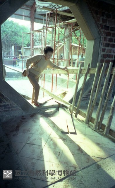 1950至2006年臺灣常民生活藏品圖，第1張