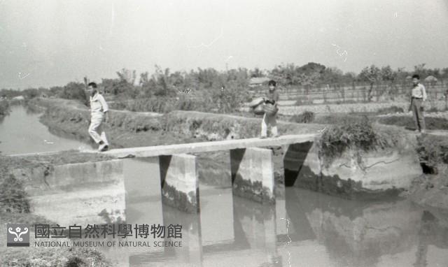 1950至2006年臺灣常民生活藏品圖，第1張