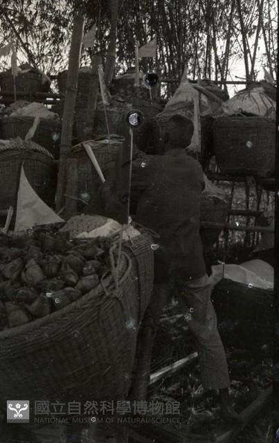 1950至2006年臺灣常民生活藏品圖，第1張