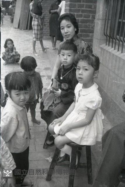 1950至2006年台灣常民生活藏品圖，第1張