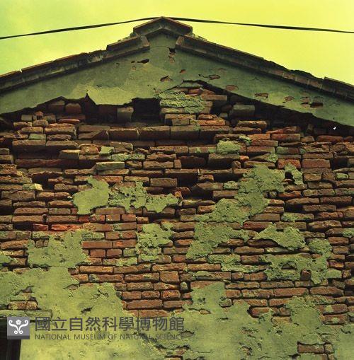 1950至2006年臺灣常民生活藏品圖，第1張