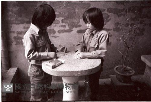 1950至2006年臺灣常民生活藏品圖，第1張