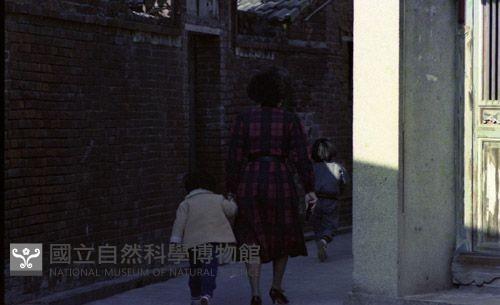 1950至2006年臺灣常民生活藏品圖，第1張