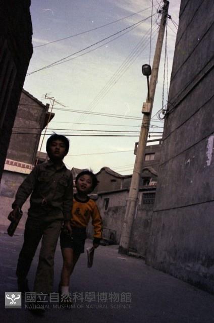 1950至2006年臺灣常民生活藏品圖，第1張