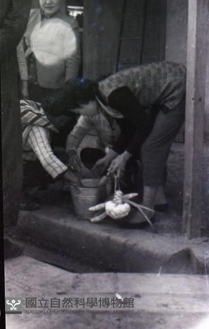 1950至2006年臺灣常民生活藏品圖，第1張