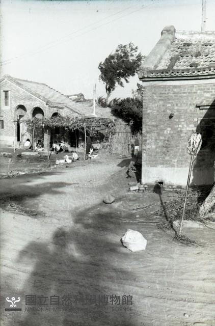 1950至2006年臺灣常民生活藏品圖，第1張