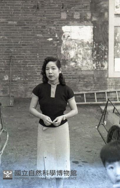 1950至2006年臺灣常民生活藏品圖，第1張