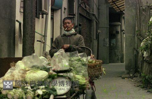 1950至2006年臺灣常民生活藏品圖，第1張