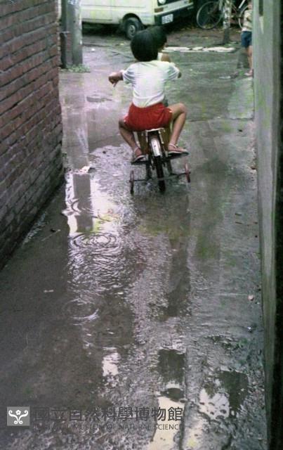 1950至2006年臺灣常民生活藏品圖，第1張