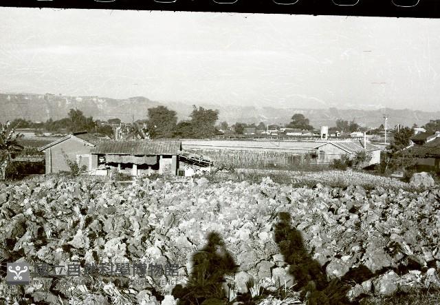 1950至2006年臺灣常民生活藏品圖，第1張