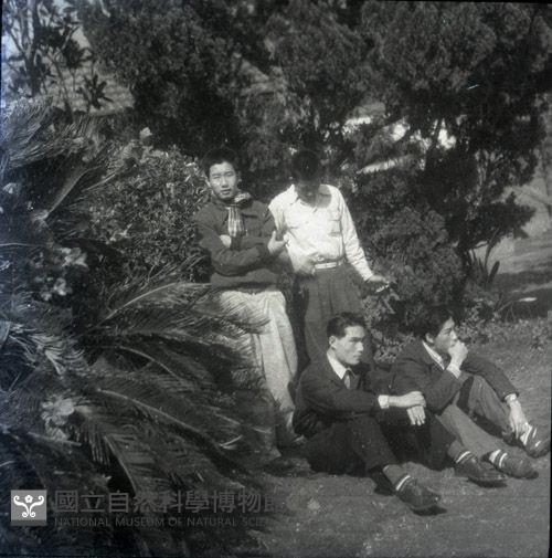 1950至2006年臺灣常民生活藏品圖，第1張