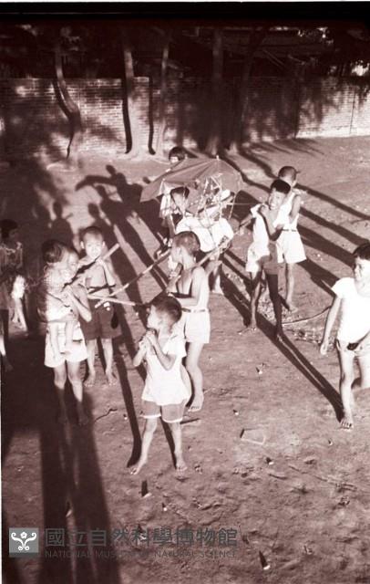 1950至2006年臺灣常民生活藏品圖，第1張