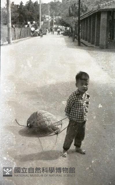 1950至2006年臺灣常民生活藏品圖，第1張