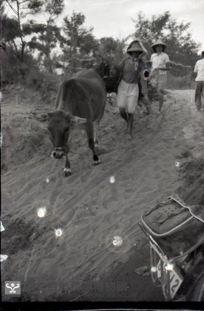 1950至2006年臺灣常民生活藏品圖，第1張