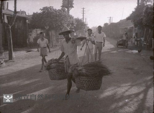 1950至2006年臺灣常民生活藏品圖，第1張