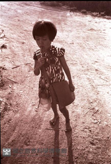 Accession Number:MP2007021367 Collection Image