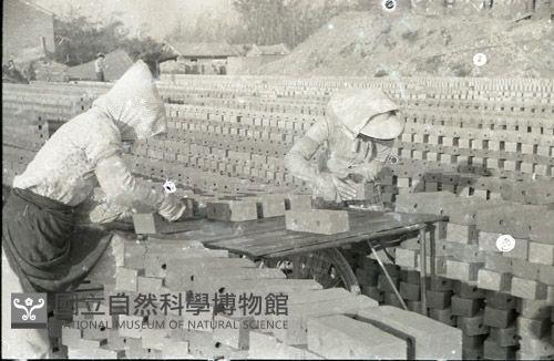 1950至2006年臺灣常民生活藏品圖，第1張