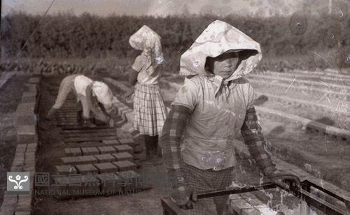 1950至2006年臺灣常民生活藏品圖，第1張