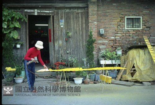 1950至2006年臺灣常民生活藏品圖，第1張