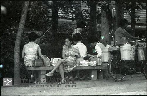 1950至2006年臺灣常民生活藏品圖，第1張