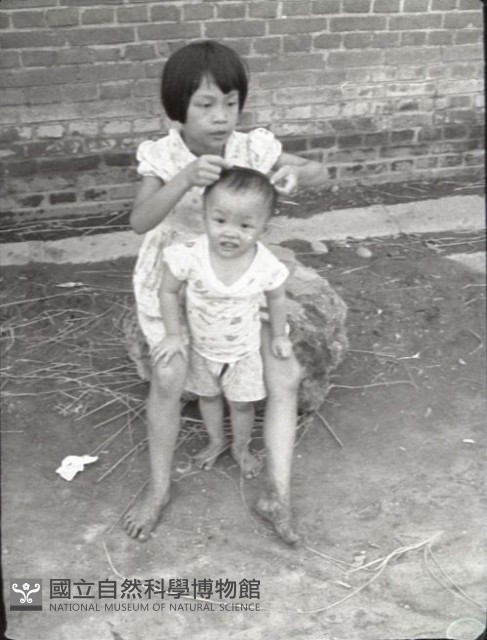 1950至2006年臺灣常民生活藏品圖，第1張