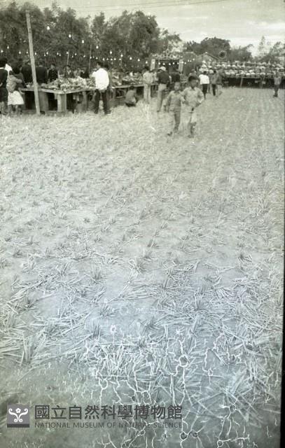 1950至2006年臺灣常民生活藏品圖，第1張