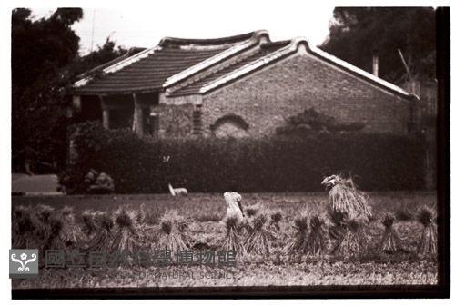 1950至2006年臺灣常民生活藏品圖，第1張