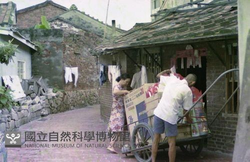 1950至2006年臺灣常民生活藏品圖，第1張