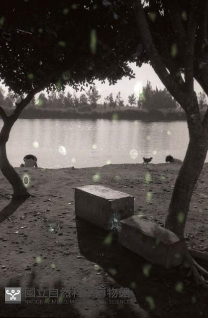 1950至2006年臺灣常民生活藏品圖，第1張