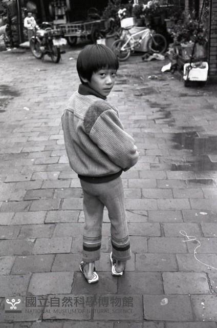 1950至2006年台灣常民生活藏品圖，第1張