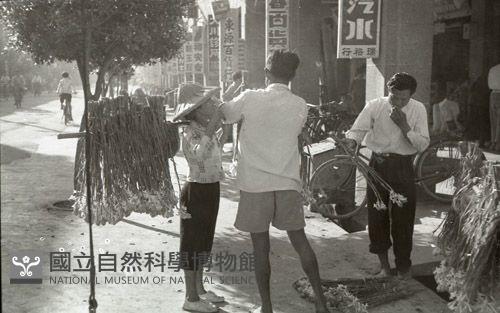 1950至2006年臺灣常民生活藏品圖，第1張