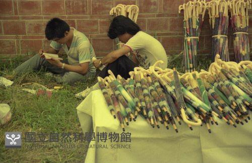 1950至2006年臺灣常民生活藏品圖，第1張
