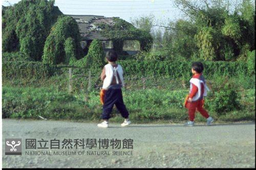 1950至2006年臺灣常民生活藏品圖，第1張