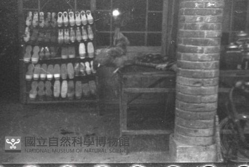 1950至2006年臺灣常民生活藏品圖，第1張