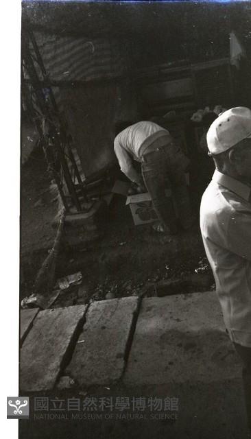 1950至2006年臺灣常民生活藏品圖，第1張