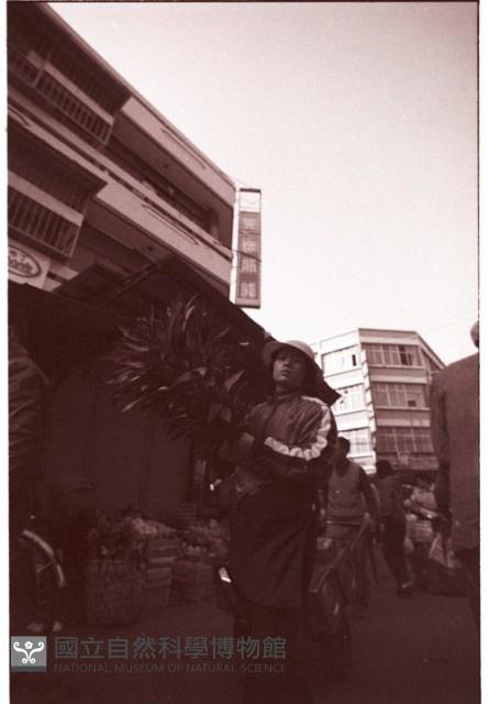 1950至2006年臺灣常民生活藏品圖，第1張