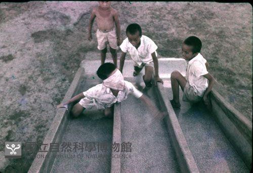 溜滑梯嬉戲（1950至2006年臺灣常民生活）藏品圖，第1張