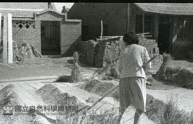 1950至2006年臺灣常民生活藏品圖，第1張