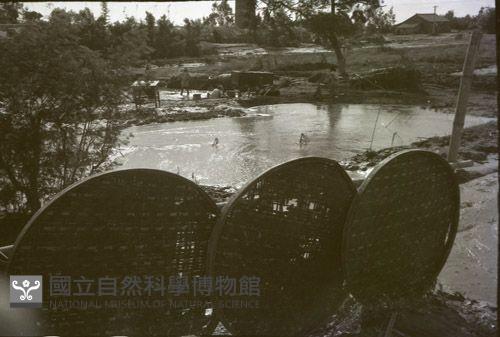 1950至2006年臺灣常民生活藏品圖，第1張