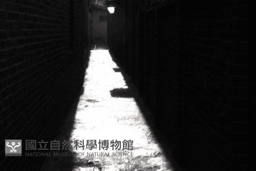 1950至2006年台灣常民生活藏品圖，第1張