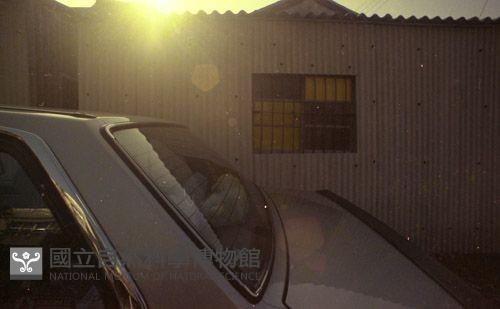 1950至2006年臺灣常民生活藏品圖，第1張