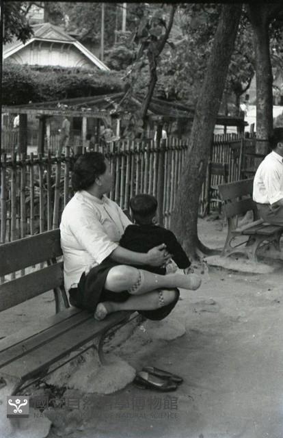1950至2006年臺灣常民生活藏品圖，第1張