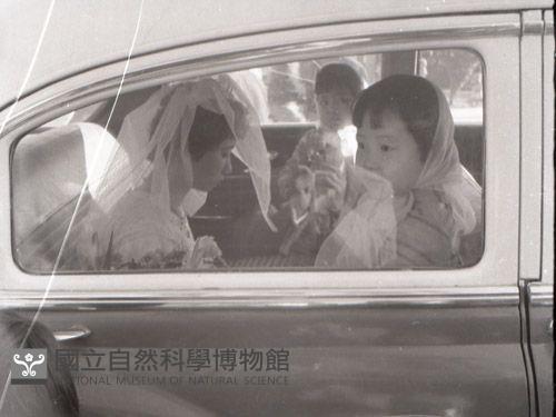 1950至2006年台灣常民生活藏品圖，第1張