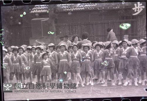 1950至2006年臺灣常民生活藏品圖，第1張