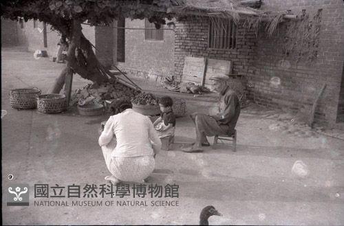 1950至2006年臺灣常民生活藏品圖，第1張