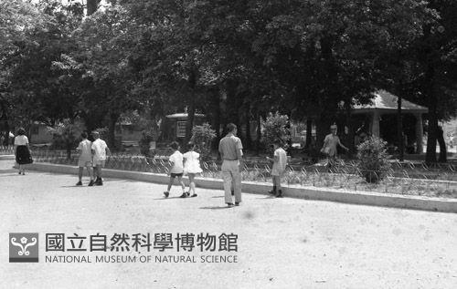 1950至2006年臺灣常民生活藏品圖，第1張