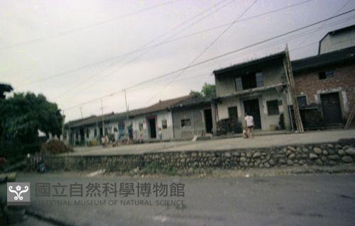 1950至2006年臺灣常民生活藏品圖，第1張