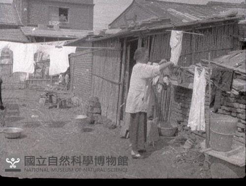 1950至2006年臺灣常民生活藏品圖，第1張