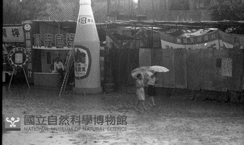 1950至2006年臺灣常民生活藏品圖，第1張