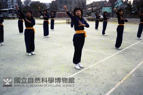 1950至2006年臺灣常民生活藏品圖，第1張